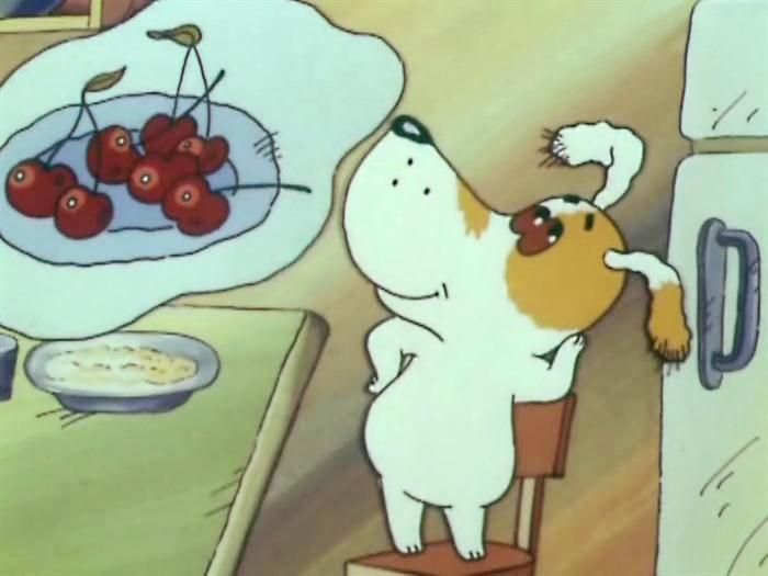 Ауди собачка соня