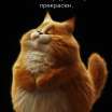 София Сергеевна Шутова