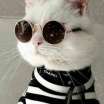 SOLOMIA 😺🐈 IGOREVNA 💗 ONCHEVA 😺