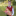 id898150