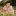 id1037886
