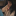 id1074065