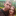 id1086406