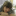 id1087809