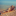 id1090104