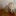 id1034229