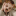id1095990
