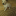 id1099219