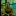id1102259