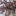 id1104315