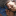 id1105959