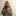 id1106304