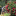id1107404