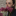 id1108119