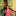 id1109725