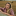 id1109771
