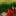 id1111803