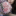 id1111994