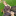 id1113207