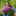 id1115029