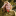 id1116735
