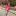 id1118547