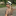 id1129759