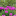 id1134068
