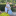 id1138164