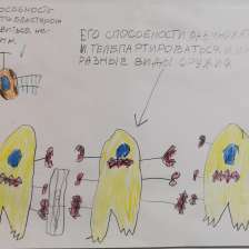 Доминик Сын Витаутаса Дубасас