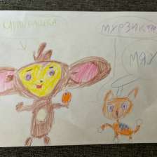 Эмилия Широковских