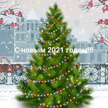 id920798