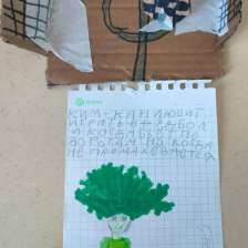 Яна Урсол