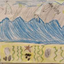 Кулешова Арина