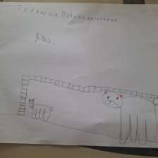 Полина Тараненко