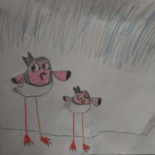 Дарья Цыбулевская