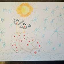 Арина Смирнова