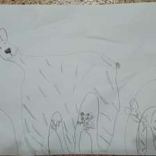 Александра Алямкина