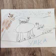 Сафонов Егор