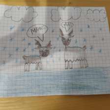 Вера(✿ ♥‿♥) в конкурсе «День приключений с мамой»