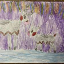 Савелий Алликвээ в конкурсе «День приключений с мамой»