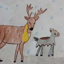 Жеребцов Дима