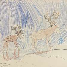 Маша Ермакова