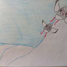 Полина Глушкова