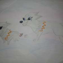 Полина Голикова