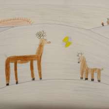 Софья Болтырова