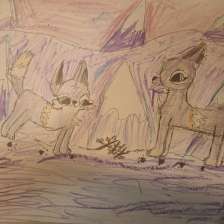 Чекунова Юля