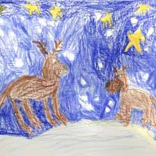 Лиза Соколова