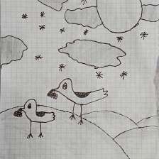 Степанова Софья