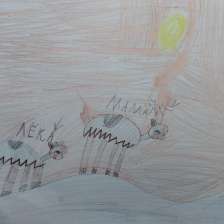 Купцов Артемий